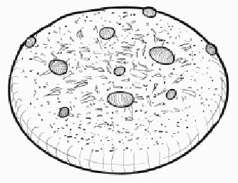 A variety of tastes, textures and shapes from 80 to 200g.